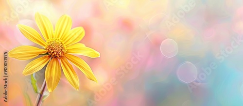 Yellow flower macro photogr...