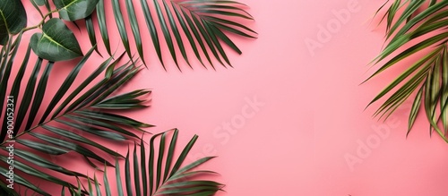 Top view of palm branches o...