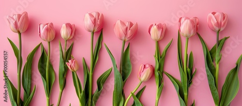 A bunch of pink tulips arra...