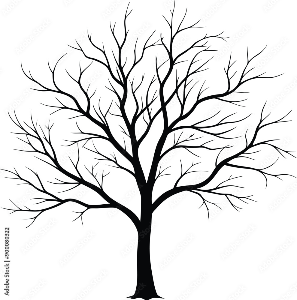 Obraz premium Silhouette of a bare tree
