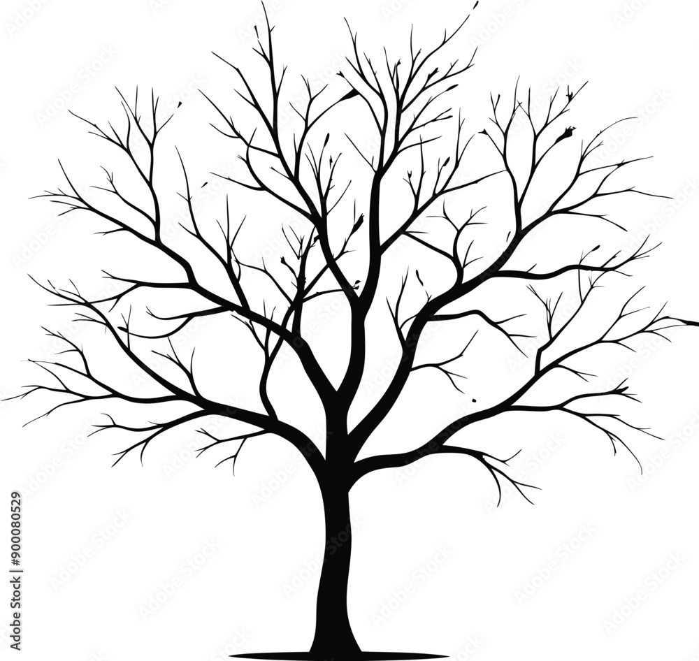 Silhouette of a bare tree Silhouette of a bare tree