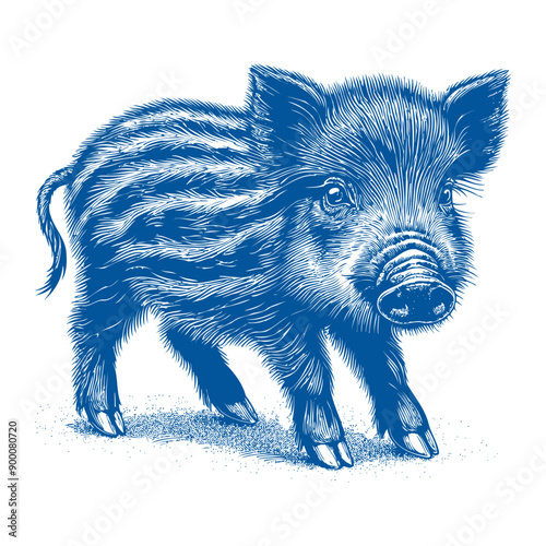 wild boar vector, hog vector, pig vector