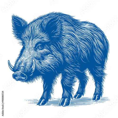 wild boar vector, hog vector, pig vector