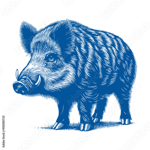 wild boar vector, hog vector, pig vector