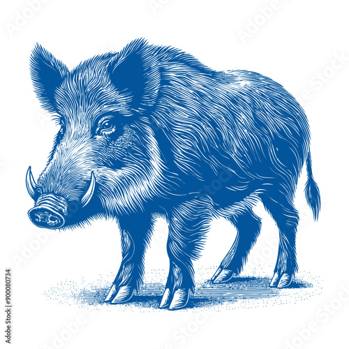 wild boar vector, hog vector, pig vector