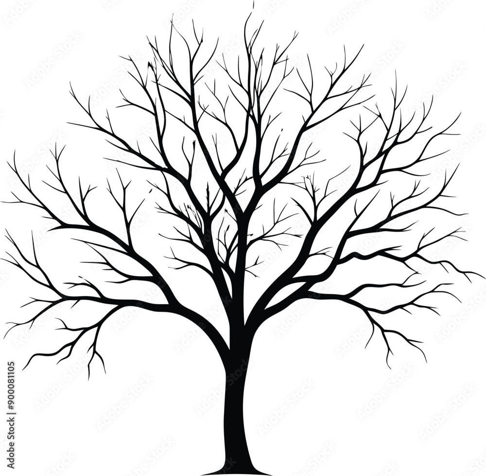 Silhouette of a bare tree Silhouette of a bare tree