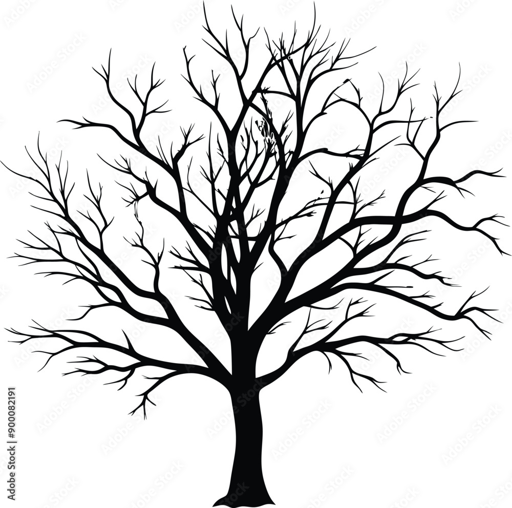 Silhouette of a bare tree Silhouette of a bare tree