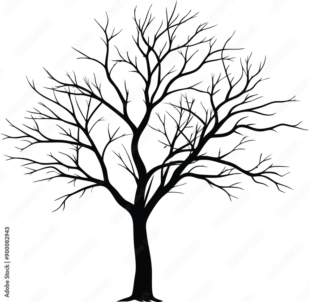Silhouette of a bare tree Silhouette of a bare tree