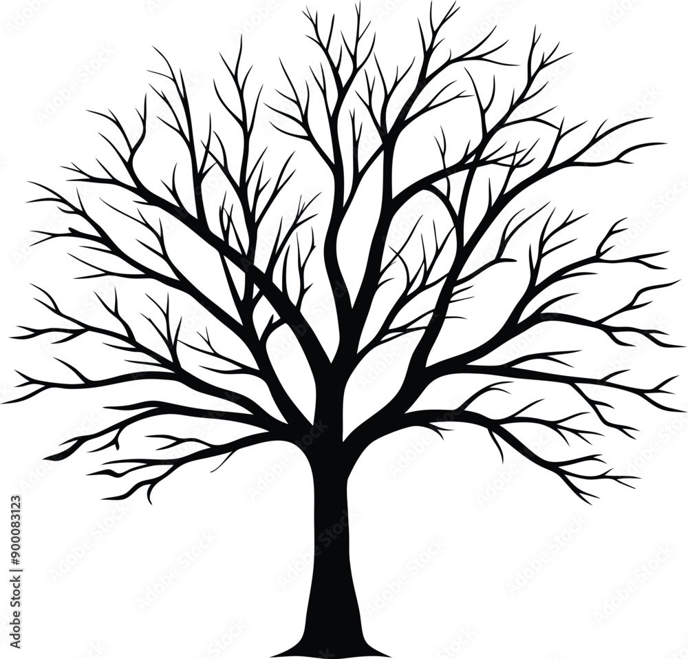 Obraz premium Silhouette of a bare tree