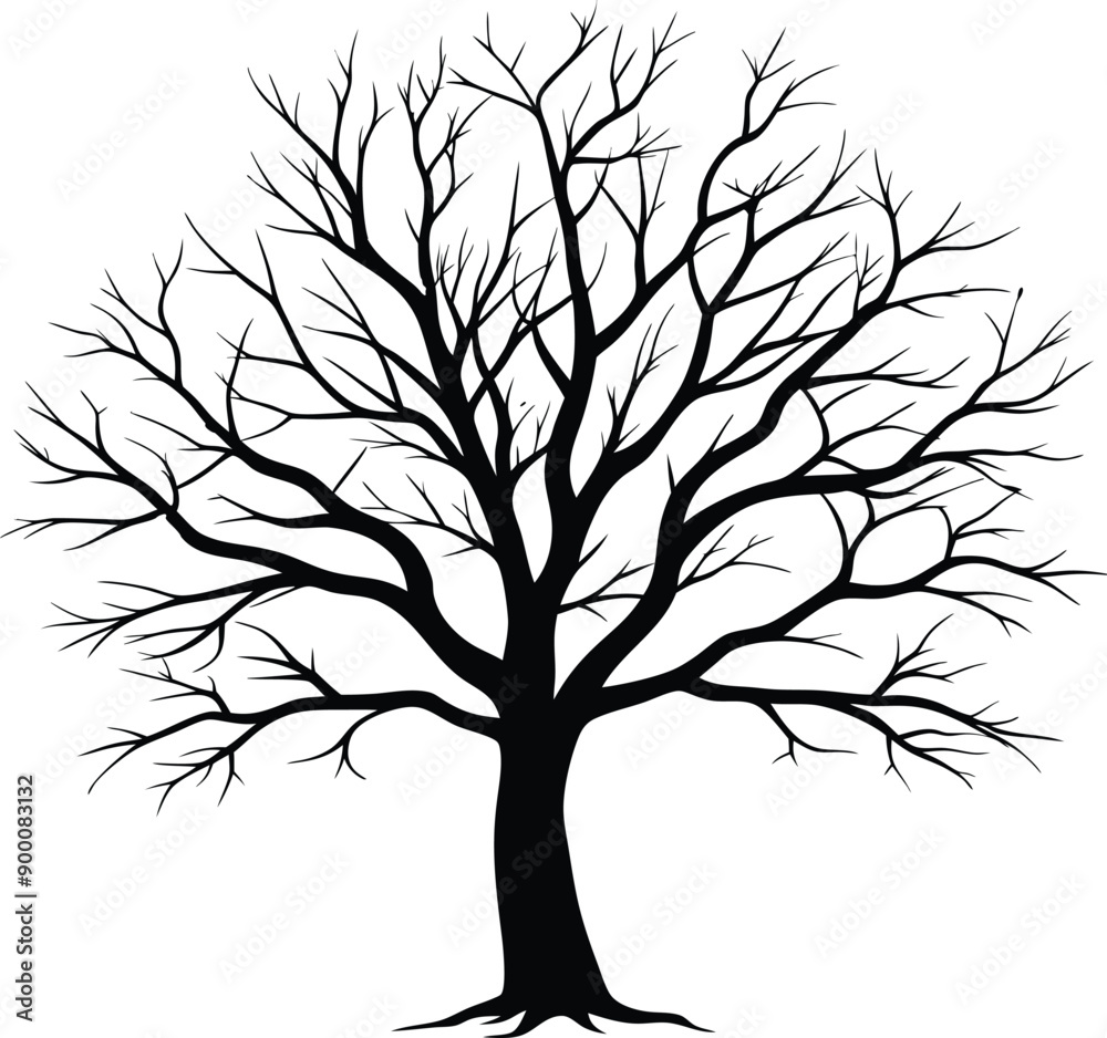 Silhouette of a bare tree Silhouette of a bare tree