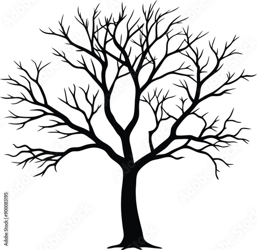 Silhouette of a bare tree