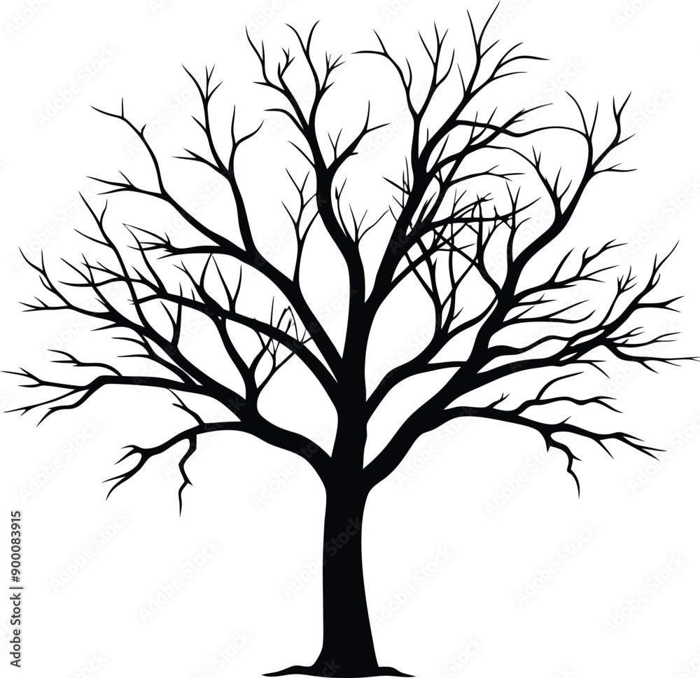Silhouette of a bare tree