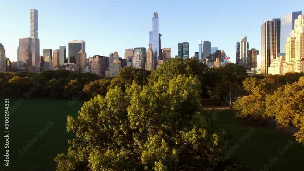 Experience a city view at sunset, with greenery and a stunning skyline for a striking contrast Experience a city view at sunset, with greenery and a stunning skyline for a striking contrast