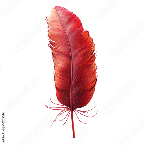 Vibrant Red Feather Isolated on Black Background