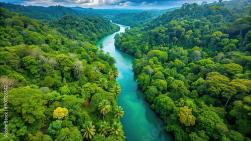 Aerial view of a lush tropical rainforest merging into a vibrant river, tropical, rainforest, lush, green, trees, nature © Sujid