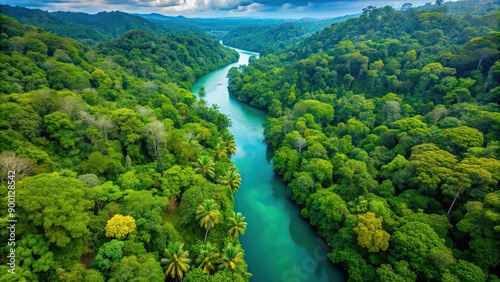 Aerial view of a lush tropical rainforest merging into a vibrant river, tropical, rainforest, lush, green, trees, nature