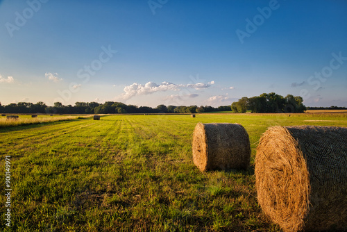 Heuballen - bales of hay - field - harvest - summer - straw - farmland - blue cloudy sky - golden - beautiful - freshly - countryside - haystacks - harvesting - background 