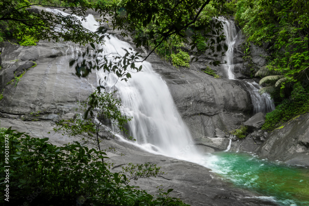 Obraz premium waterfall in the forest
