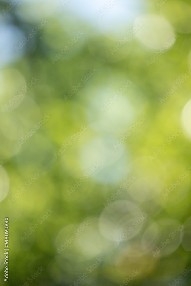 Green bokeh background, blurry green leaves out of focus. Green bokeh background, blurry green leaves out of focus.