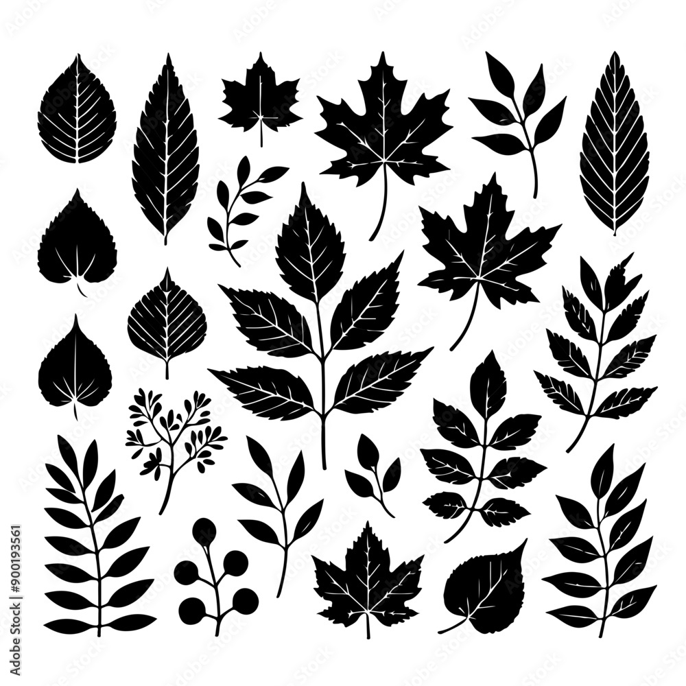 set of autumn leaves set of autumn leaves