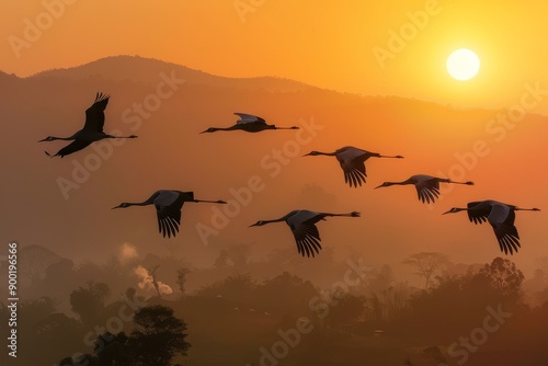 The majestic flight of cranes against the backdrop of a scenic valley.
