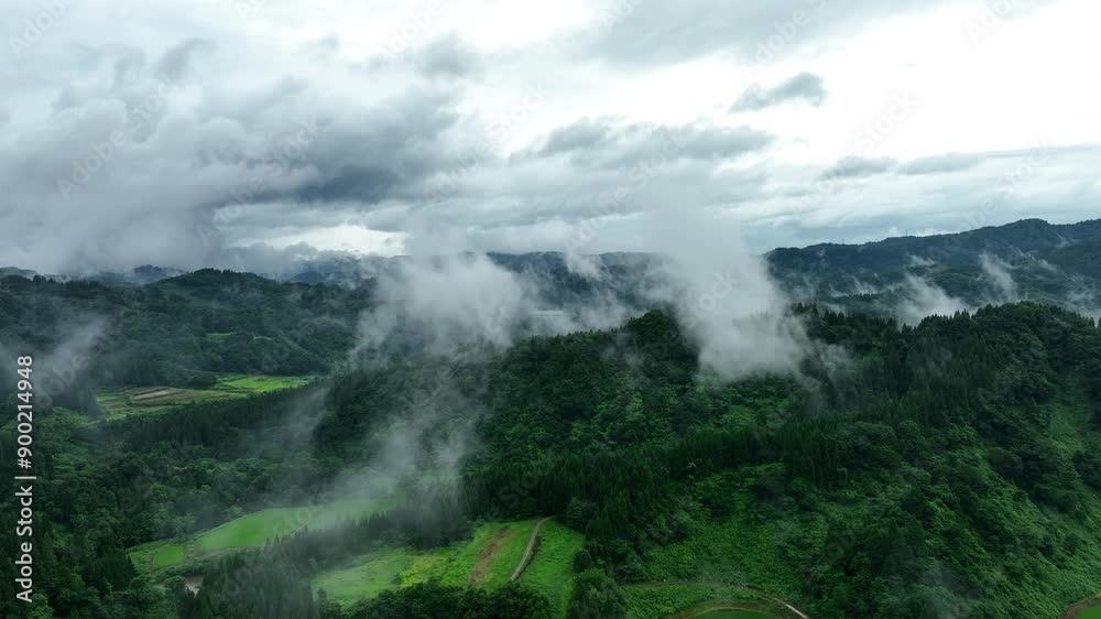 ドローン映像:霧がかった、雨天時の夏の山 ドローン映像:霧がかった、雨天時の夏の山