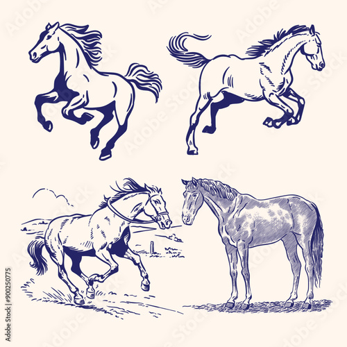 Hand drawn Illustrated vector horse set 