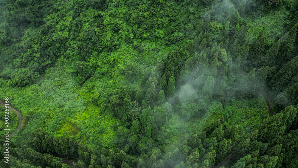 ドローン写真:霧がかった、雨天時の夏の山 ドローン写真:霧がかった、雨天時の夏の山