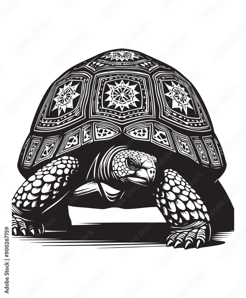 tortoise vector art,graphics tortoises icons set,vintage illustration ...