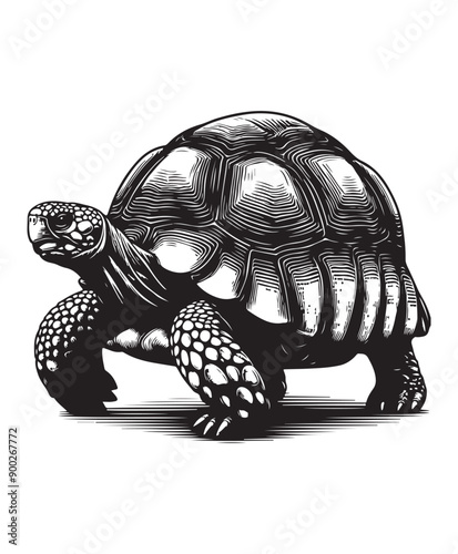 tortoise vector art,graphics tortoises icons set,vintage illustration tortoise clipart,vector tortoises flat style artwork design photo