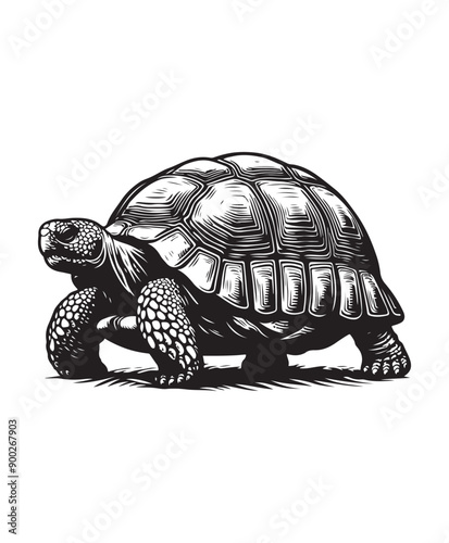 tortoise vector art,graphics tortoises icons set,vintage illustration tortoise clipart,vector tortoises flat style artwork design