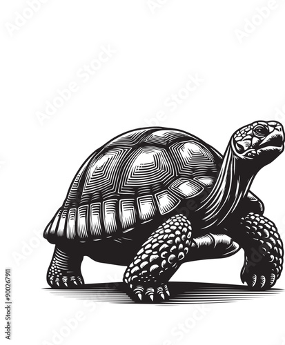 tortoise vector art,graphics tortoises icons set,vintage illustration tortoise clipart,vector tortoises flat style artwork design