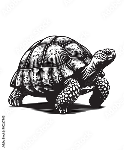 tortoise vector art,graphics tortoises icons set,vintage illustration tortoise clipart,vector tortoises flat style artwork design