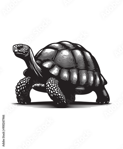 tortoise vector art,graphics tortoises icons set,vintage illustration tortoise clipart,vector tortoises flat style artwork design