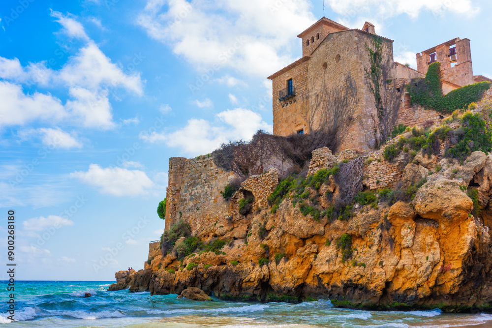 Tamarit Castle Overlooking Serene Sea and Azure Sky Tamarit Castle Overlooking Serene Sea and Azure Sky