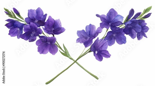 Delicate pastel larkspur blooms in a soft watercolor style, capturing natures tranquility against a bright white backdrop.