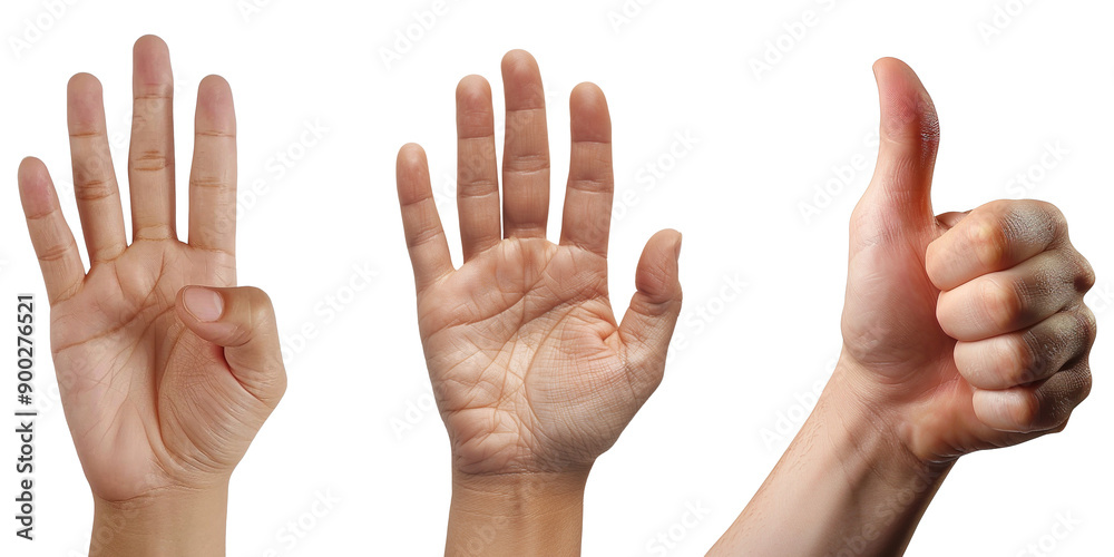 counting hands four, five, six isolated on transparent background counting hands four, five, six isolated on transparent background