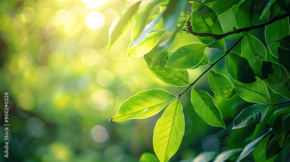 Nature of green leaf in garden at summer. Natural green leaves plants using as spring background cover page greenery environment ecology wallpaper, generative ai Nature of green leaf in garden at summer. Natural green leaves plants using as spring background cover page greenery environment ecology wallpaper, generative ai