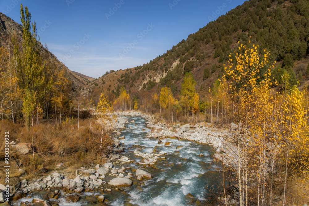 The mountain river and autumn colors in Kyrgyzstan nature, Ala-Archa Nature Park.
The mountain river and autumn colors in Kyrgyzstan nature, Ala-Archa Nature Park.