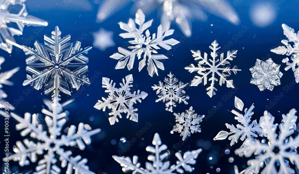 Beautiful snowflakes close-up Beautiful snowflakes close-up