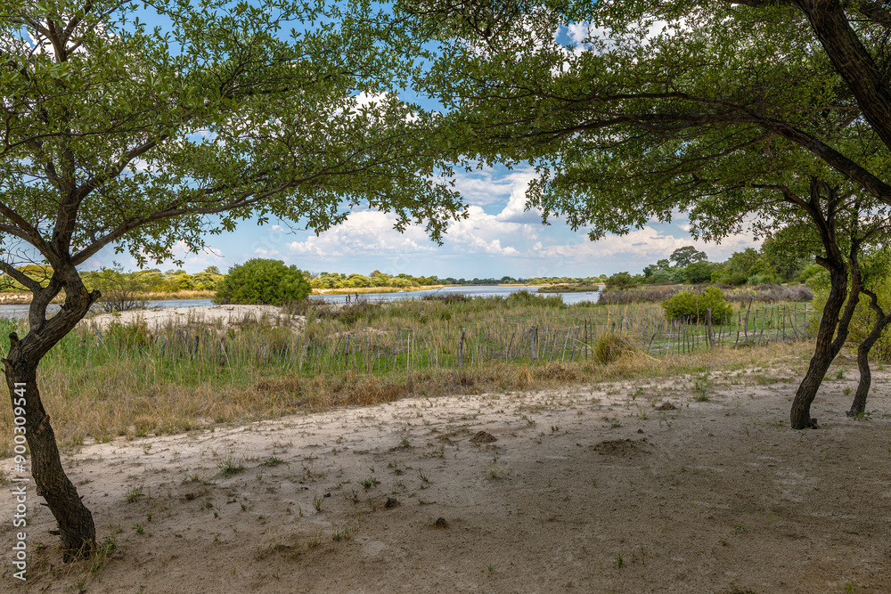 Landscape on the banks of the Okavango River in northern Namibia Landscape on the banks of the Okavango River in northern Namibia