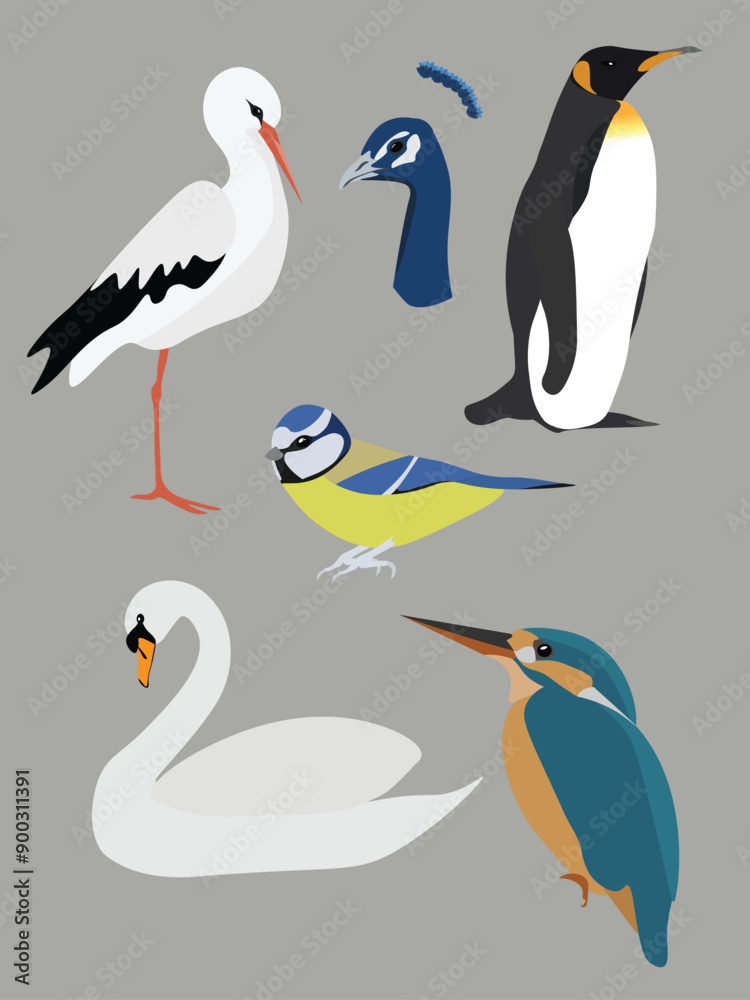 Collection of cute isolated bird vector illustration elements Collection of cute isolated bird vector illustration elements