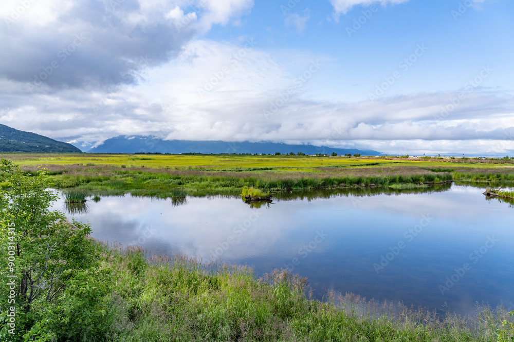 Potter Marsh Wildlife Viewing Boardwalk, Anchorage, Alaska Potter Marsh Wildlife Viewing Boardwalk, Anchorage, Alaska