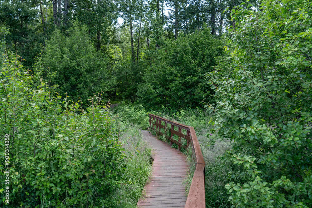 Potter Marsh Wildlife Viewing Boardwalk, Anchorage, Alaska Potter Marsh Wildlife Viewing Boardwalk, Anchorage, Alaska