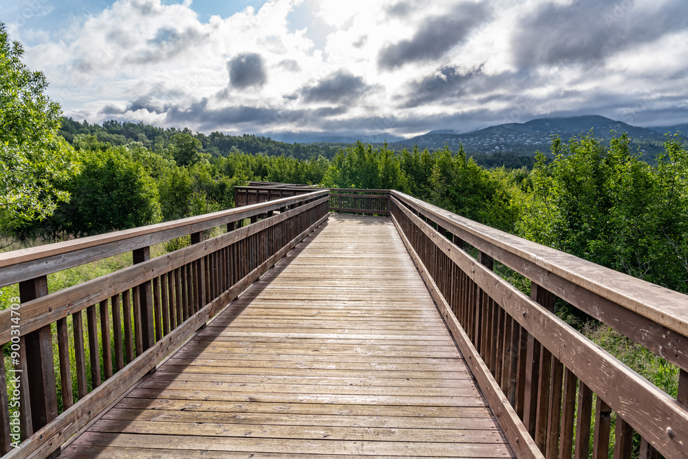 Potter Marsh Wildlife Viewing Boardwalk, Anchorage, Alaska Potter Marsh Wildlife Viewing Boardwalk, Anchorage, Alaska
