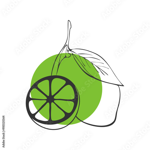 Lime fruit outline on green round background, contour whole fruit and cut in half.