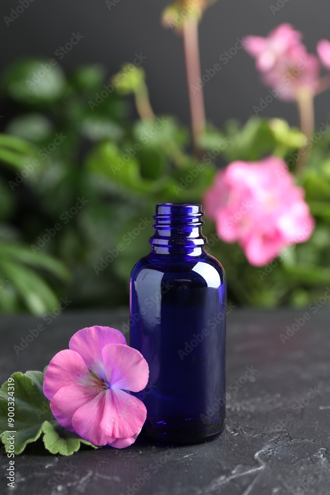 Bottle of geranium essential oil and beautiful flower on black table Bottle of geranium essential oil and beautiful flower on black table