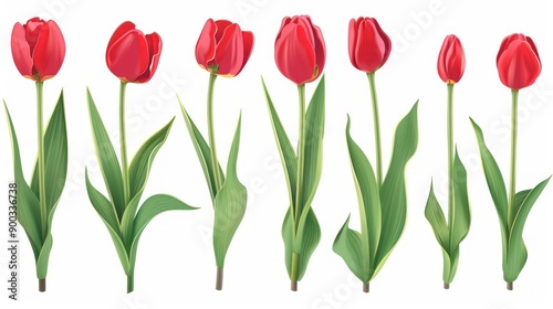 A cluster of red tulip flowers with stems and green leaves