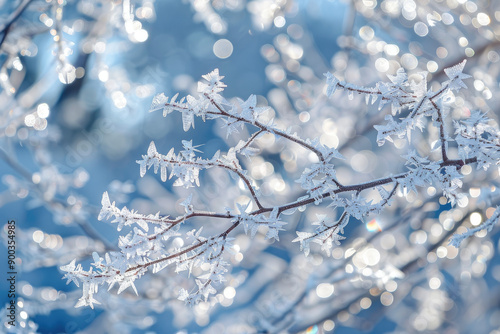 Icy branches with a delicate frost coating photo