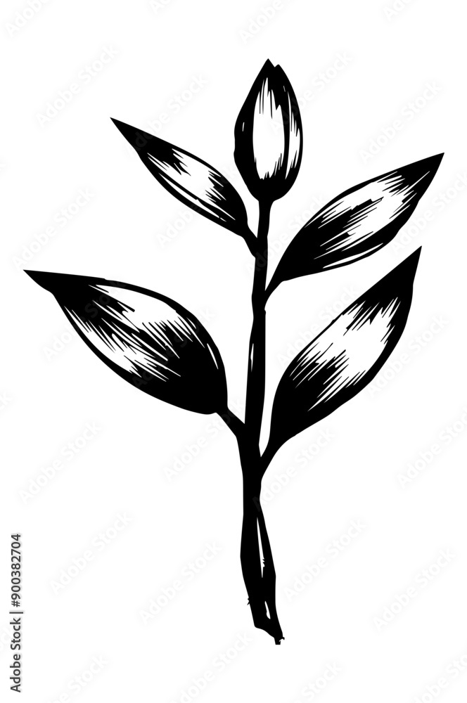 Obraz premium Vector illustration of hand drawn wreaths. Cute doodle floral 